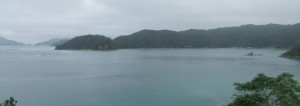 DSCF4385