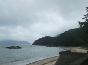 DSCF4362